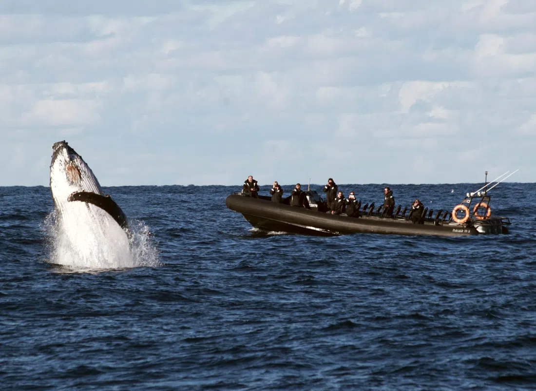 Ocean Extreme, Sydney