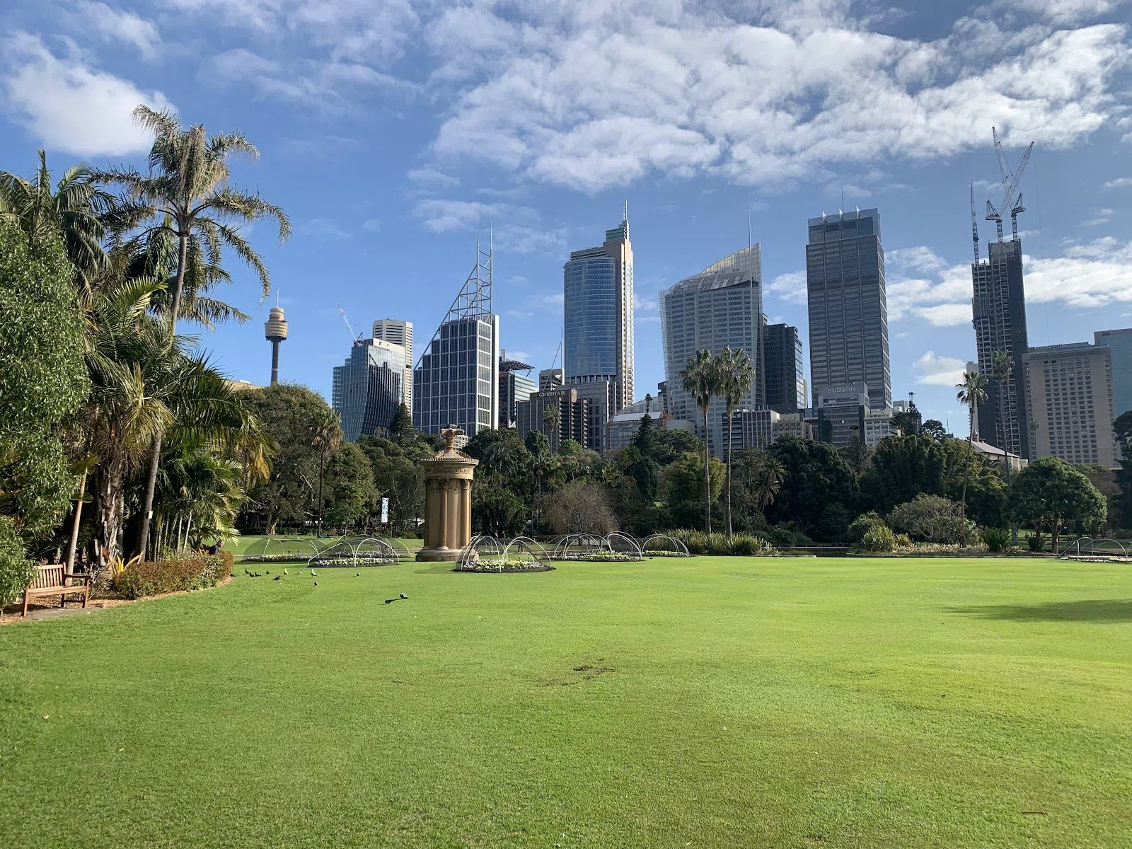 Royal Botanic Garden Sydney (incl. Mrs Macquaries Point), Sydney