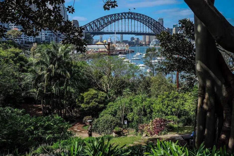 Wendy Whiteley's Secret Garden, Sydney