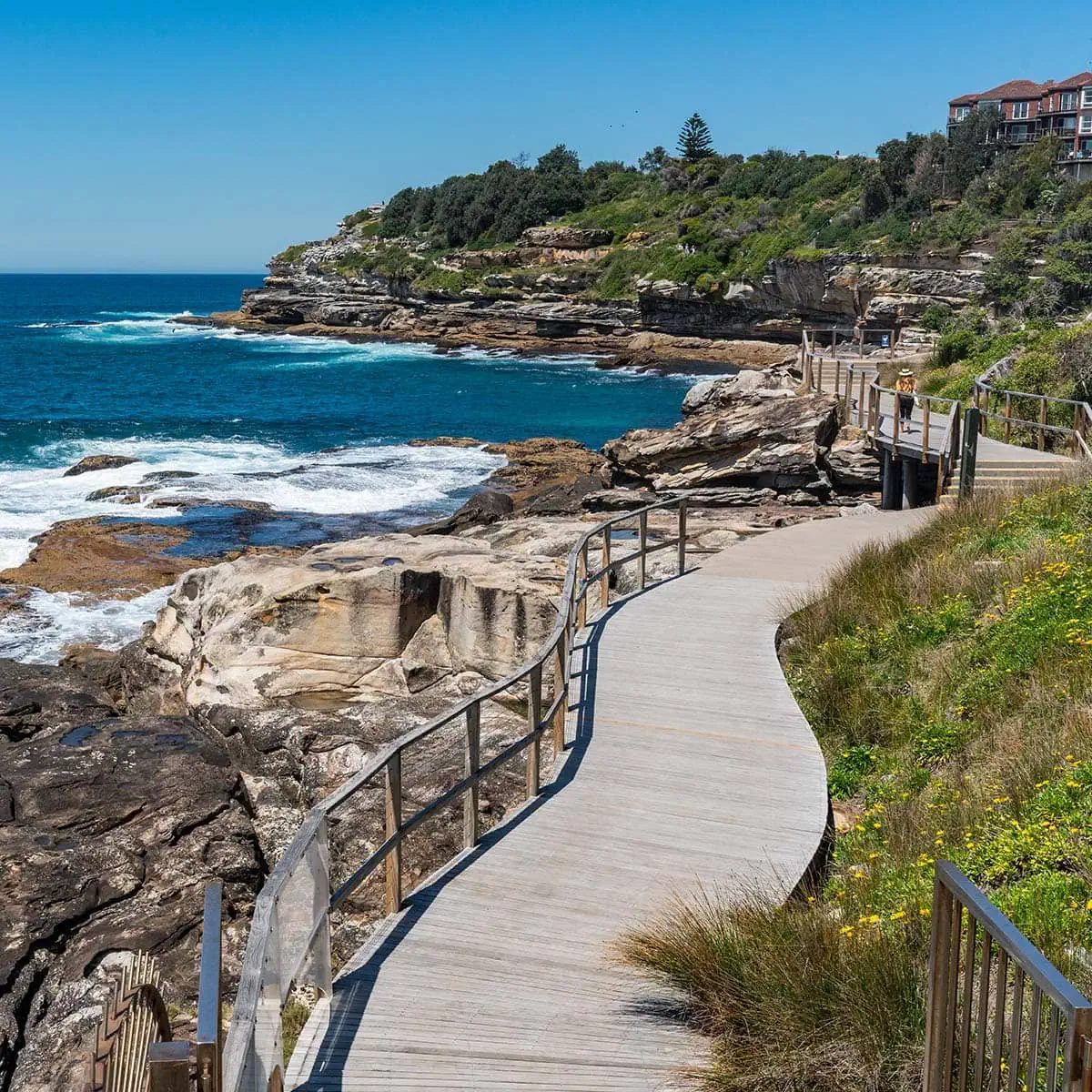 wandelaars op het klifpad van Bondi naar Coogee bij Waverley Cemetery