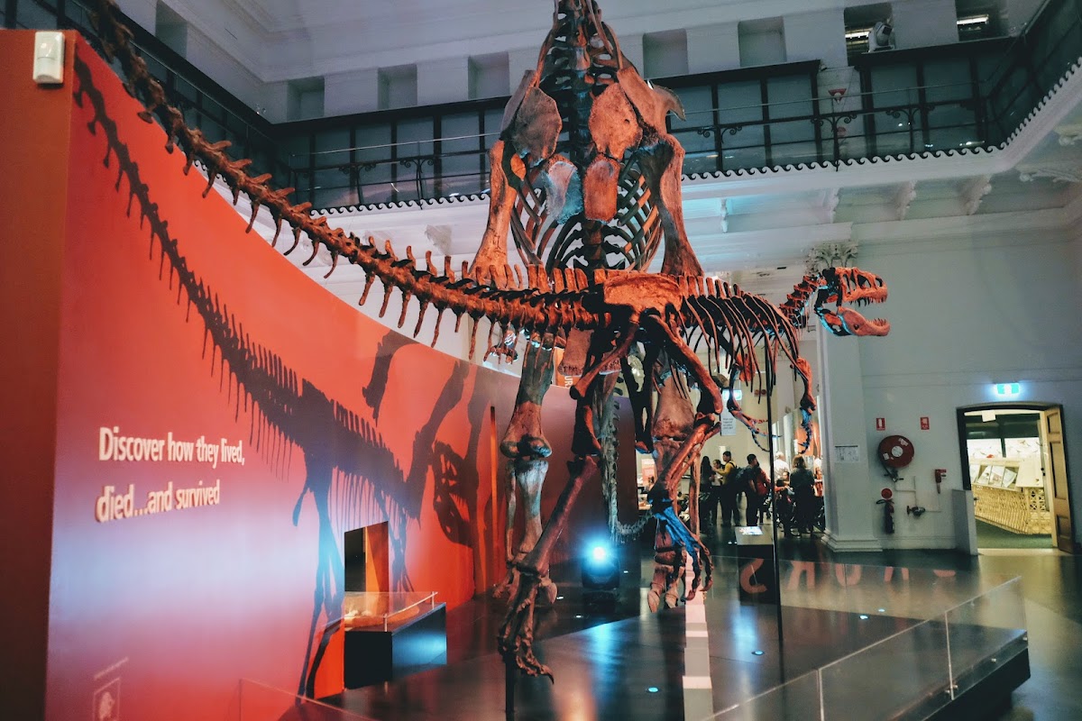 Australian Museum, Sydney