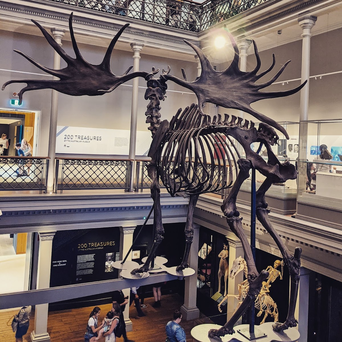 Australian Museum — photo 2