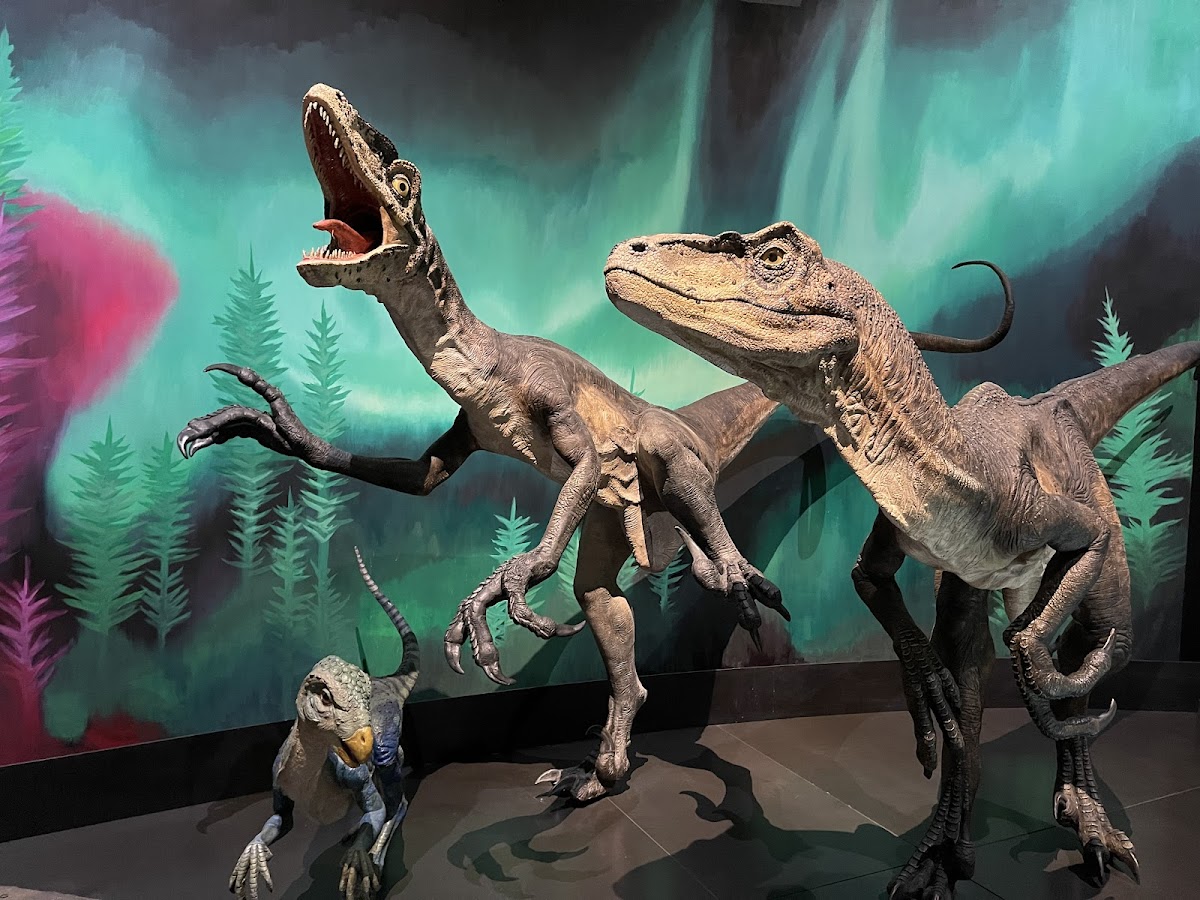 Australian Museum — photo 3