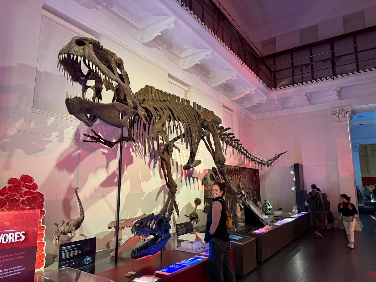 Australian Museum — photo 6