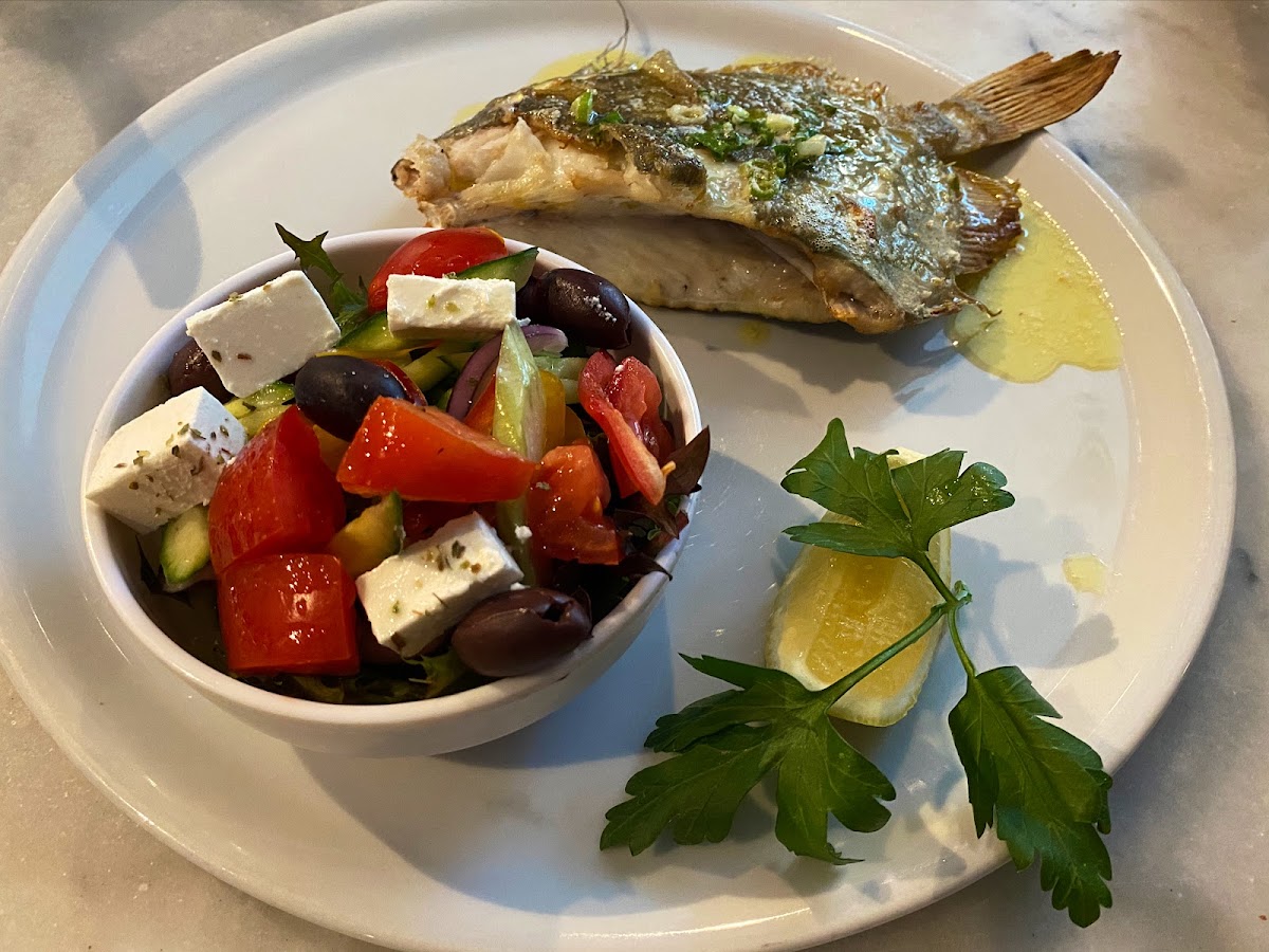 Fish At The Rocks, Sydney