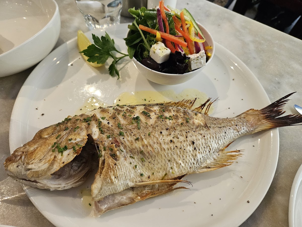 Fish At The Rocks — photo 3