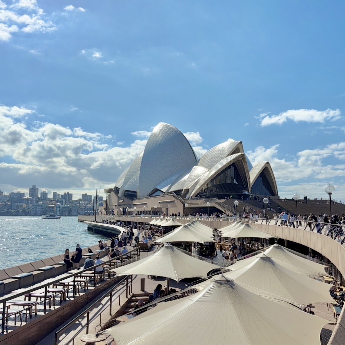 Opera Bar — photo 4