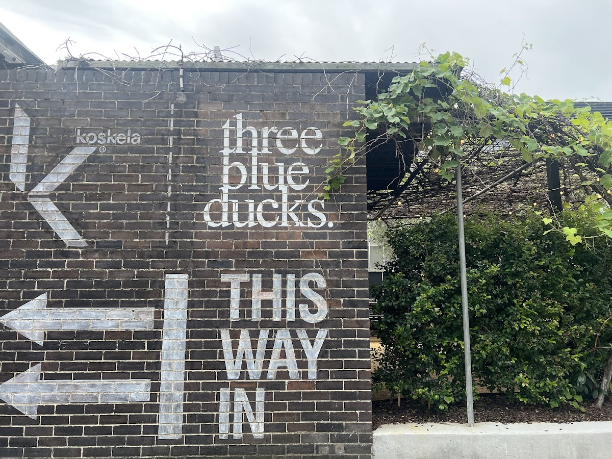 Three Blue Ducks — photo 6