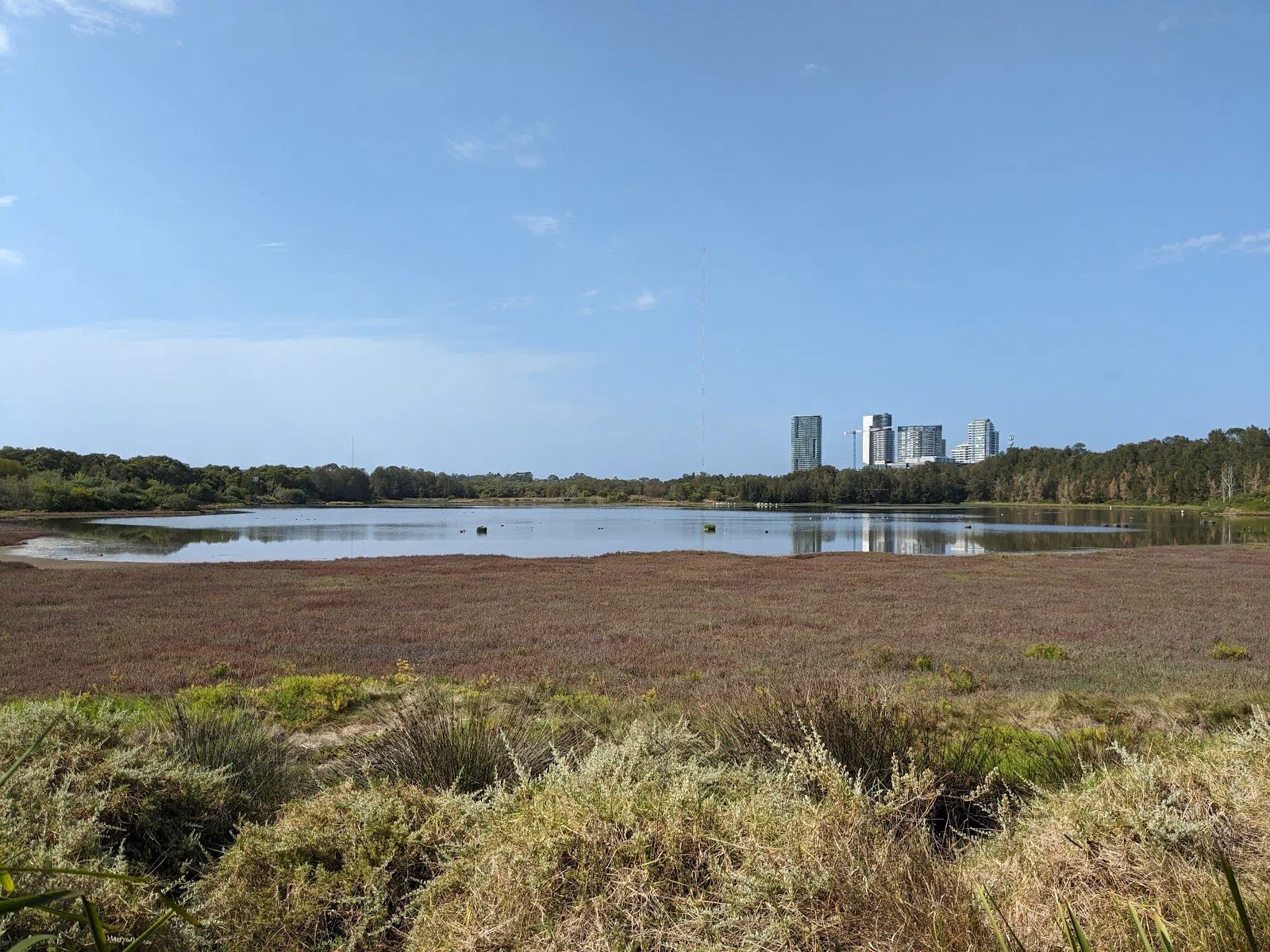 Waterbird Refuge Bird Hide, Sydney