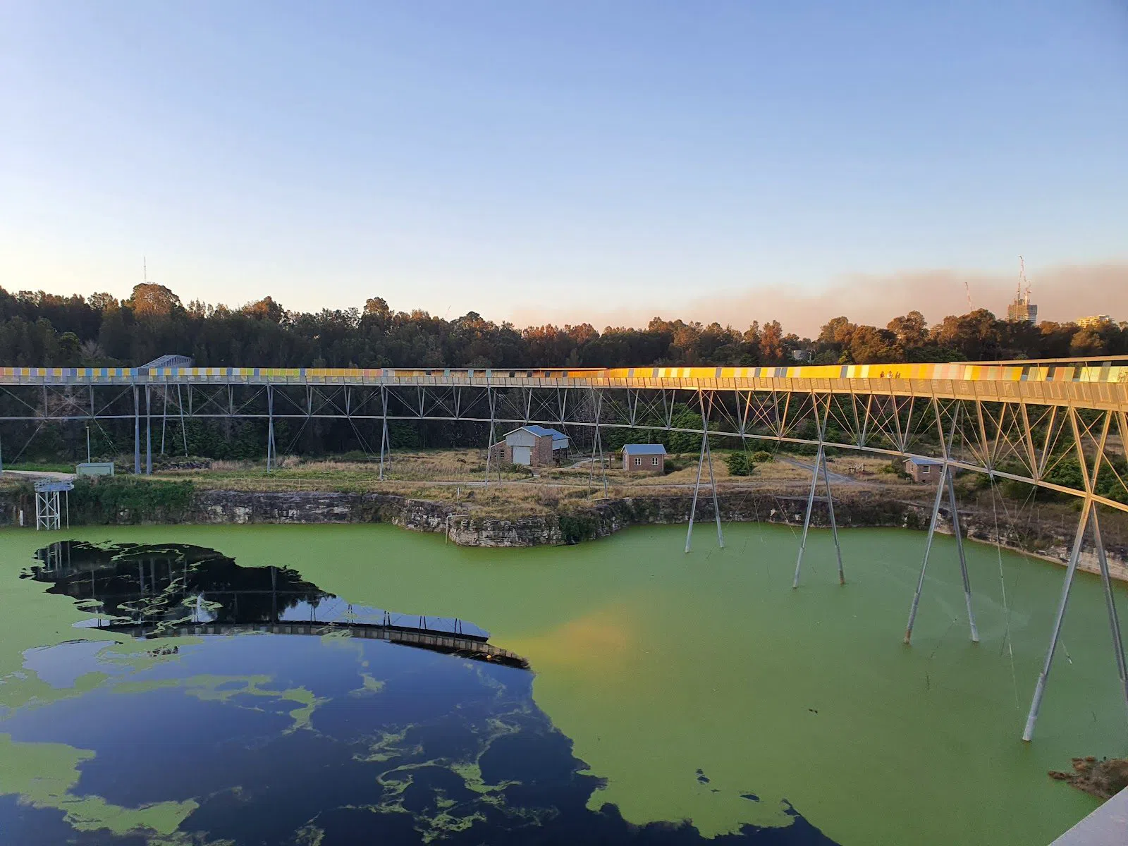 Wetlands and Wildlife at Sydney Olympic Park in October